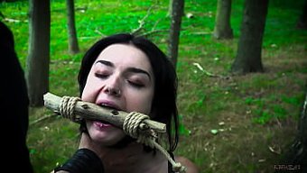 Une Jeune Femme Profite D'Un Sexe Bdsm Brutal Et D'Une Tarte À La Crème Orale