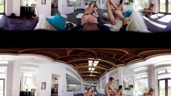 Vivez L'Ultime Orgie Avec De Gros Seins Et Culs Naturels